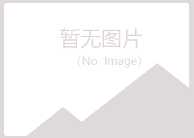 江津夏槐会计有限公司